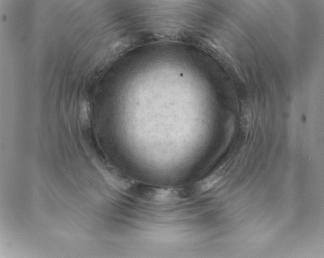 X0000088650130200706081647