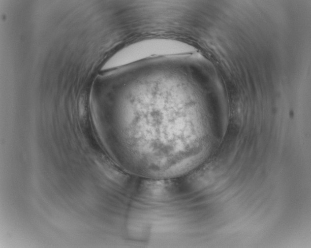 X0000088650131200706081647