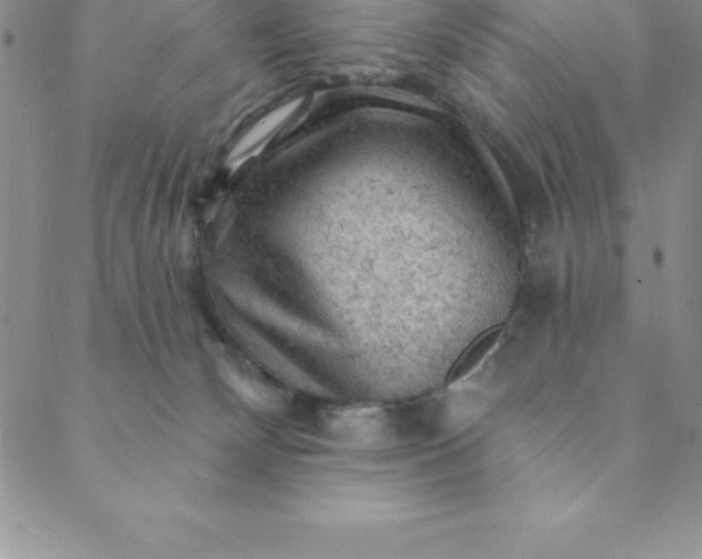 X0000088650132200706081647