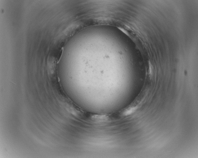 X0000088650133200706081647