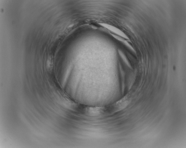 X0000088650134200706081647