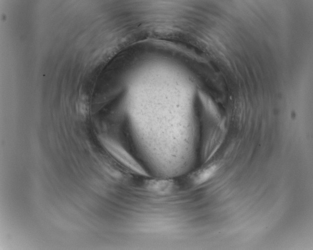 X0000088650135200706081647