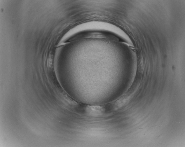 X0000088650137200706081647