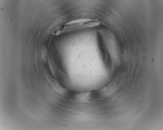 X0000088650138200706081647