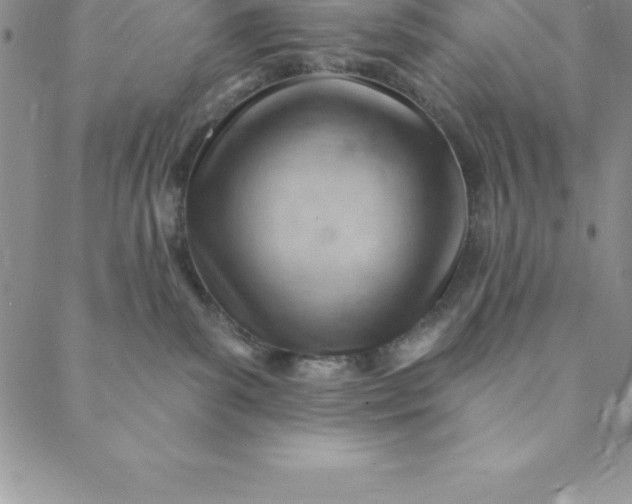 X0000088650139200706081647