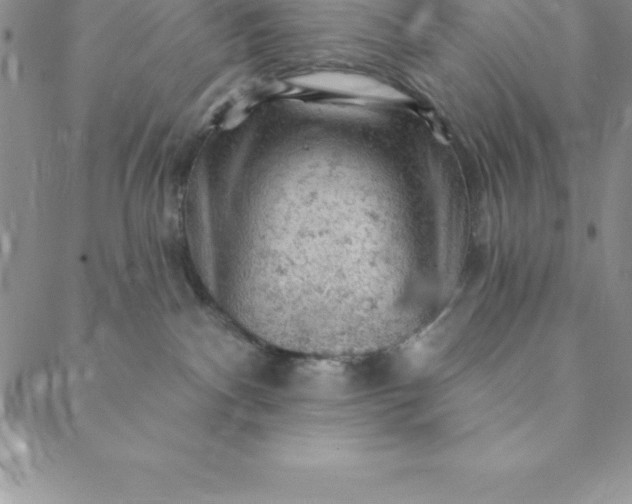 X0000088650140200706081647