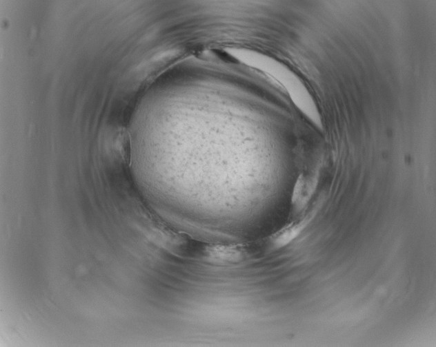 X0000088650141200706081647