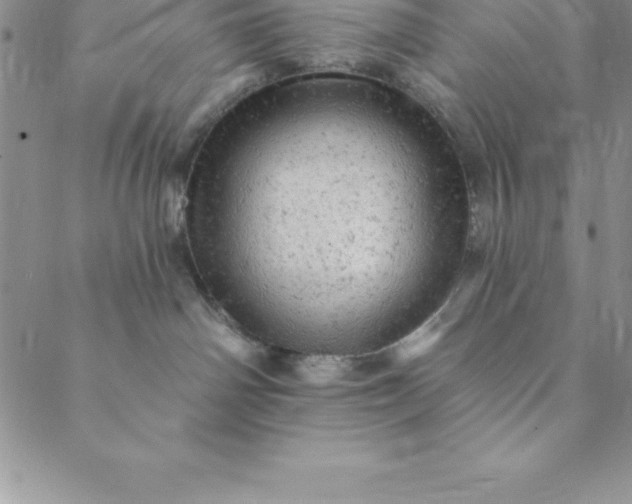 X0000088650142200706081647