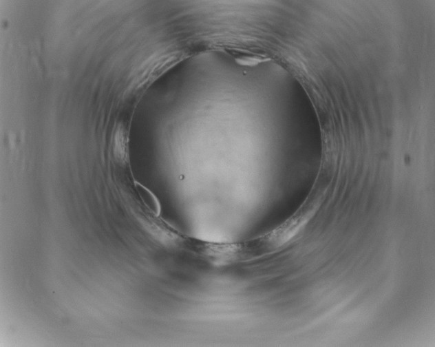 X0000088650143200706081647