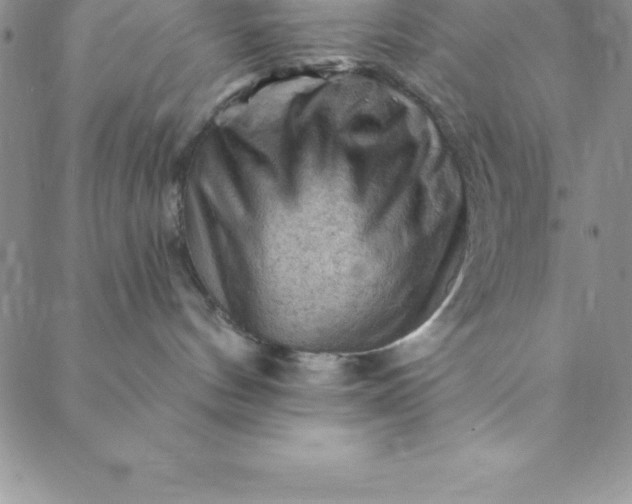 X0000088650144200706081647