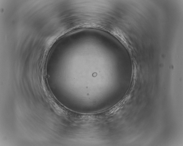 X0000088650145200706081646