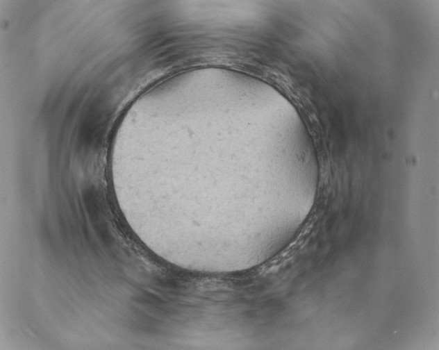 X0000088650146200706081646