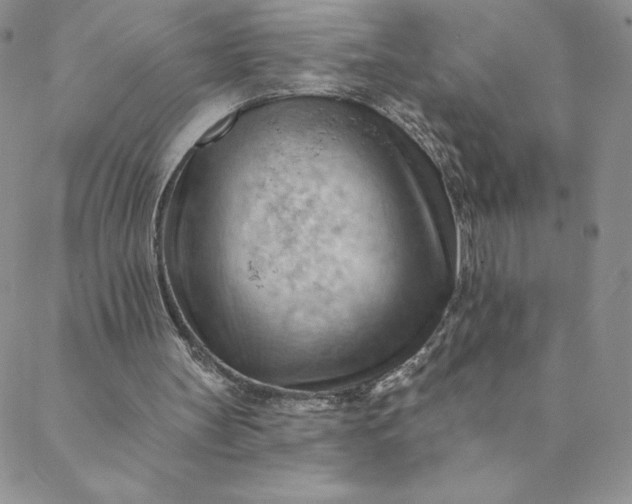 X0000088650147200706081646