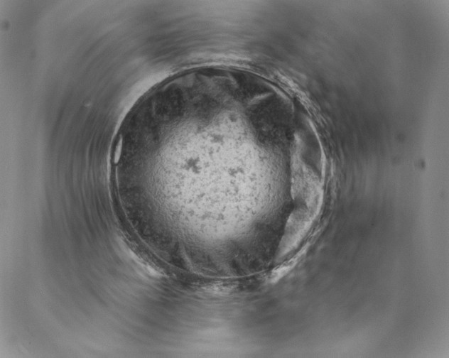 X0000088650148200706081646