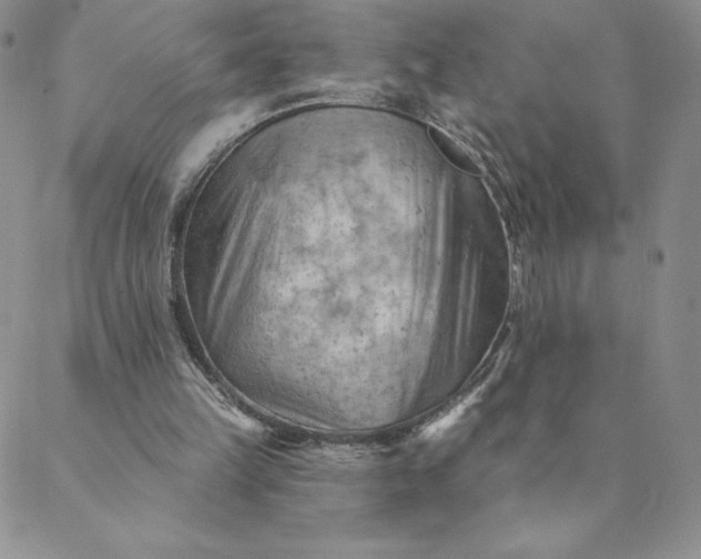 X0000088650149200706081646