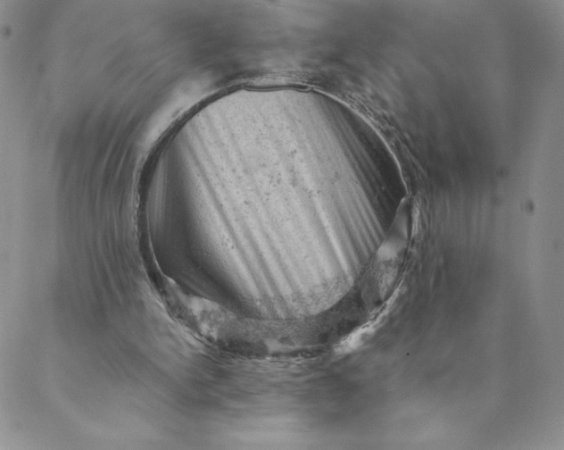 X0000088650150200706081646