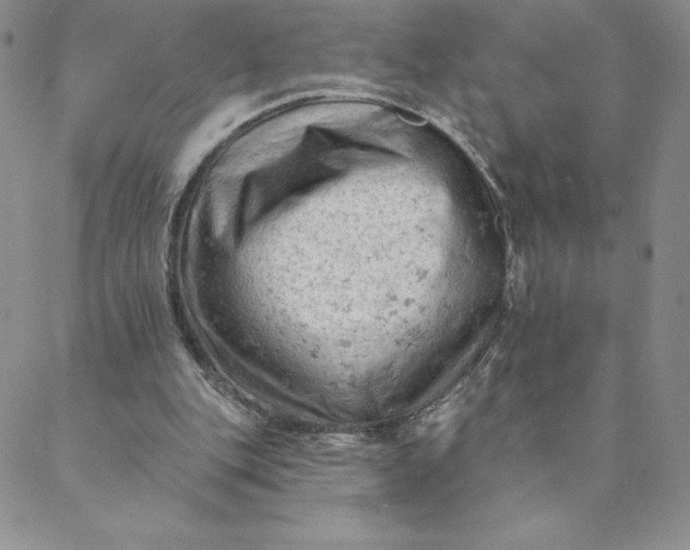 X0000088650151200706081646