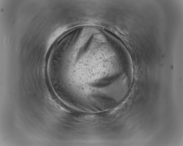 X0000088650152200706081646