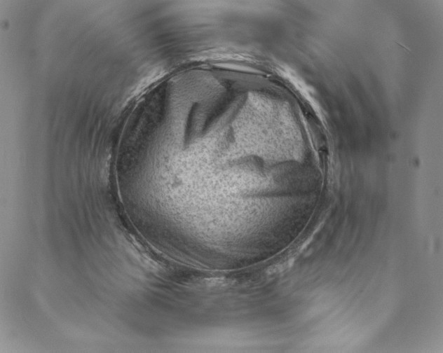 X0000088650153200706081646