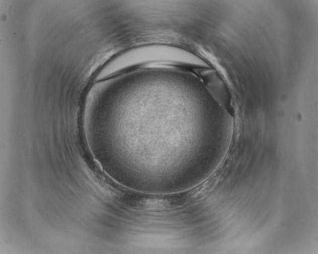 X0000088650154200706081646