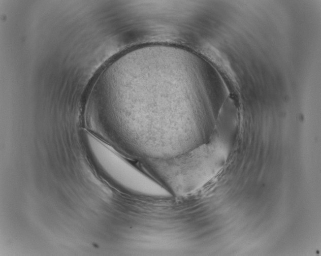 X0000088650156200706081646