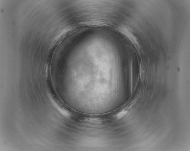 X0000088650157200706081646