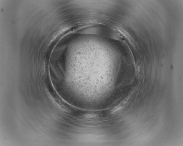 X0000088650158200706081646