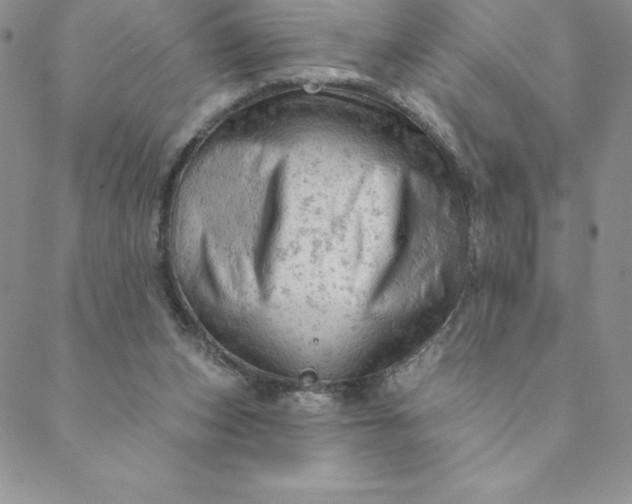 X0000088650159200706081646