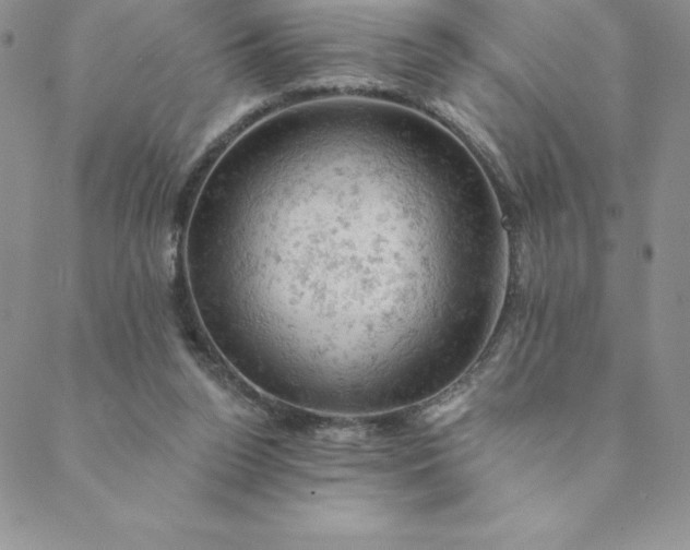 X0000088650160200706081646