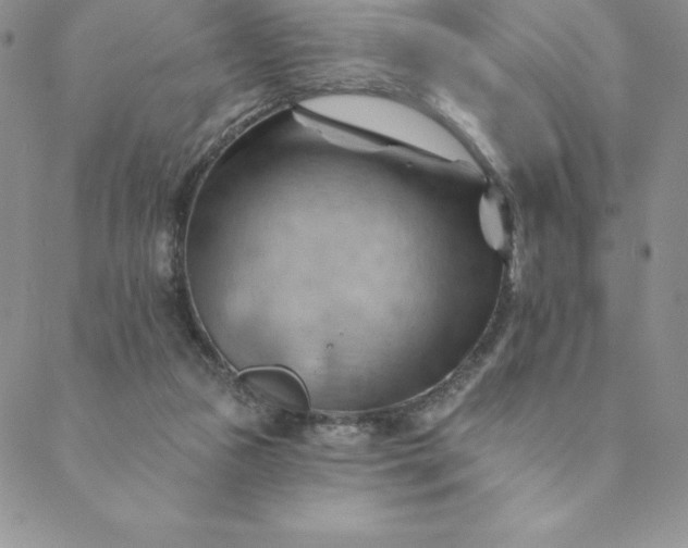 X0000088650161200706081646