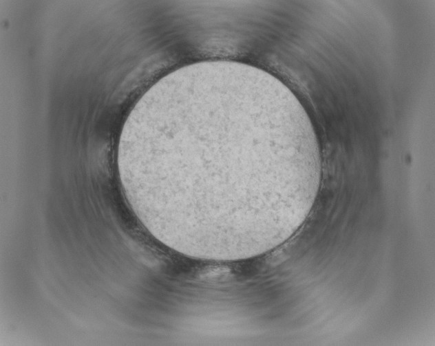 X0000088650162200706081646