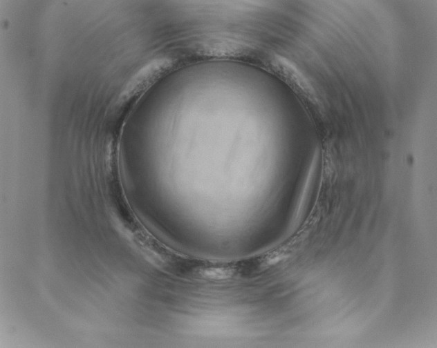 X0000088650163200706081646