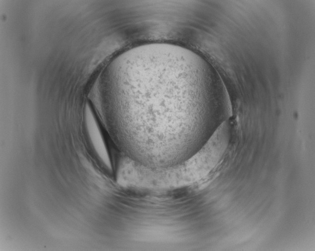 X0000088650164200706081646