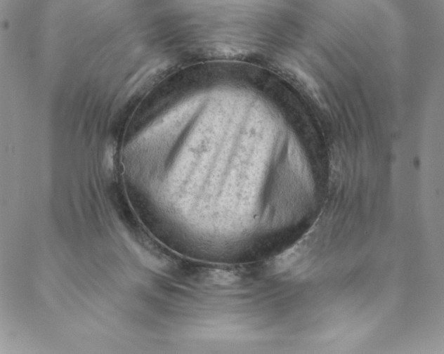 X0000088650166200706081646