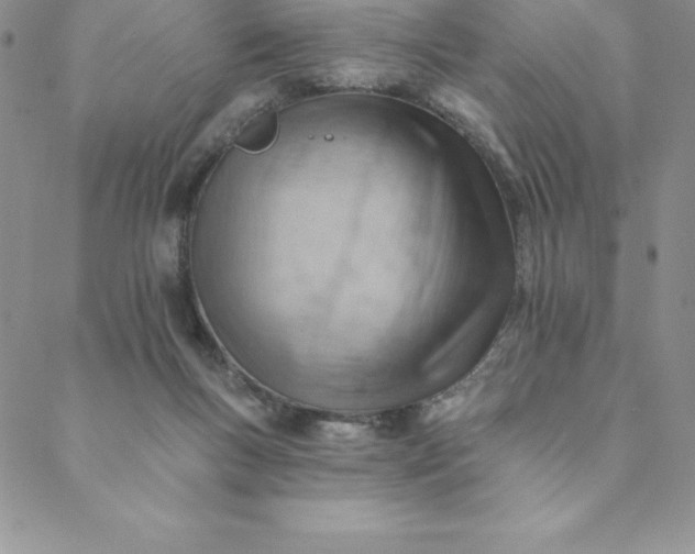 X0000088650167200706081646