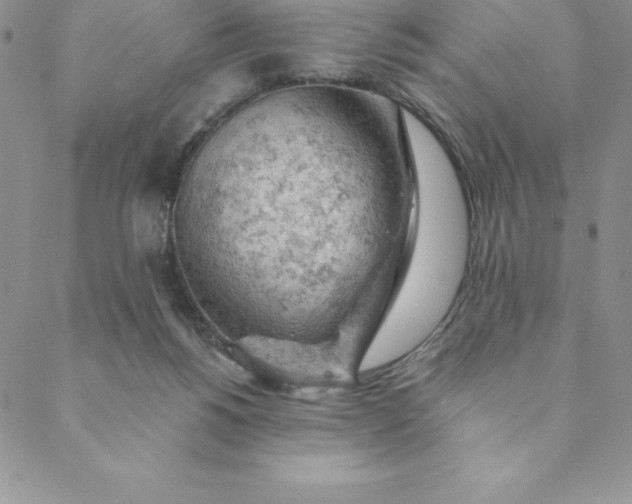 X0000088650168200706081646