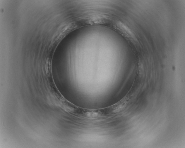 X0000088650169200706081646