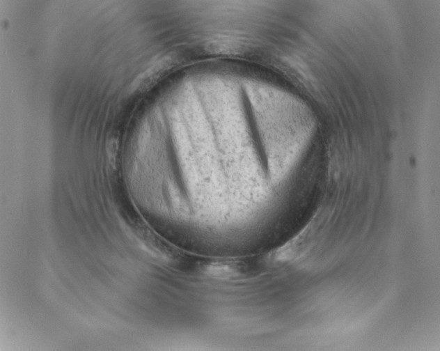 X0000088650171200706081646