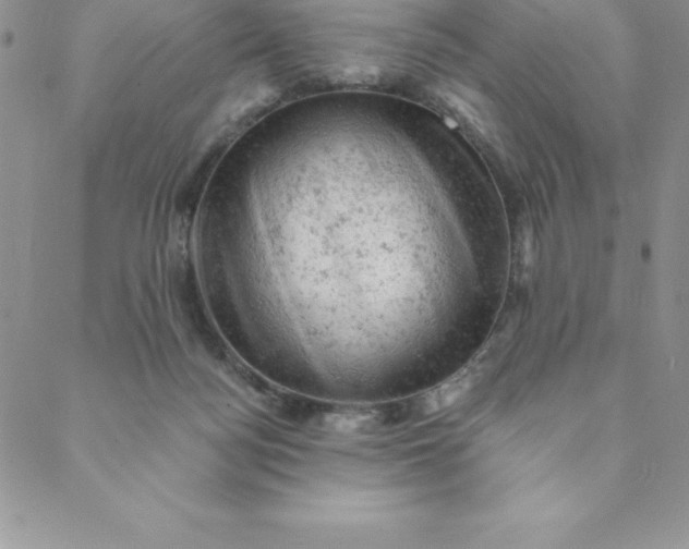 X0000088650172200706081646