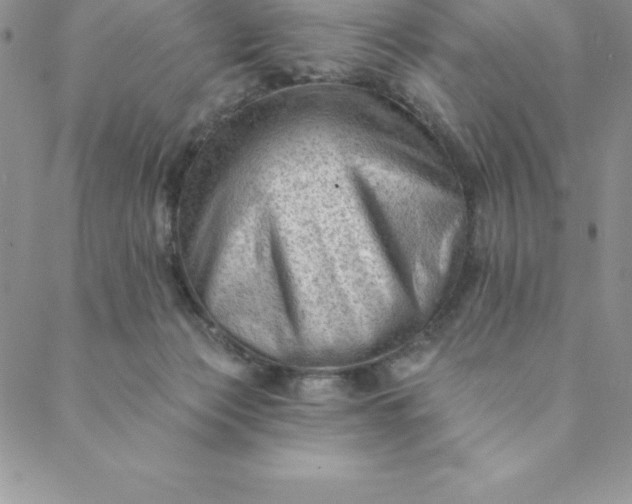 X0000088650173200706081646