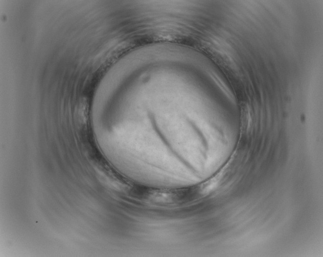 X0000088650174200706081646