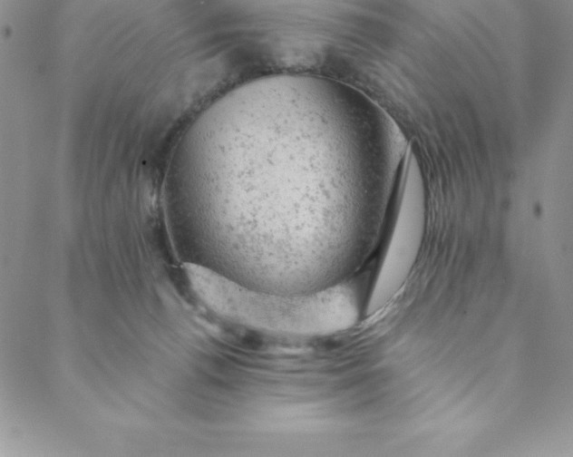 X0000088650176200706081646