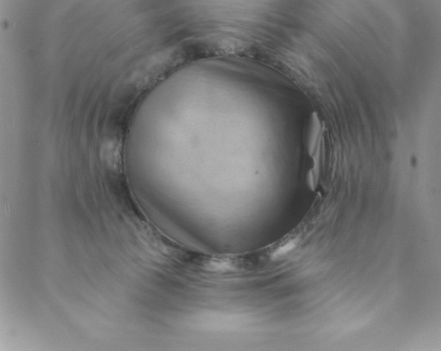 X0000088650177200706081647