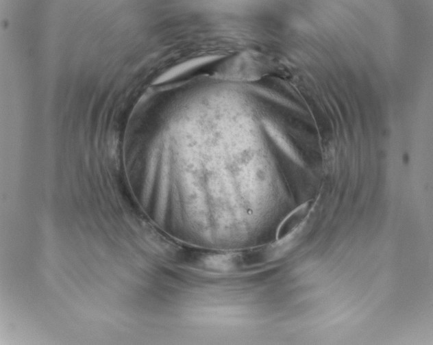 X0000088650178200706081647