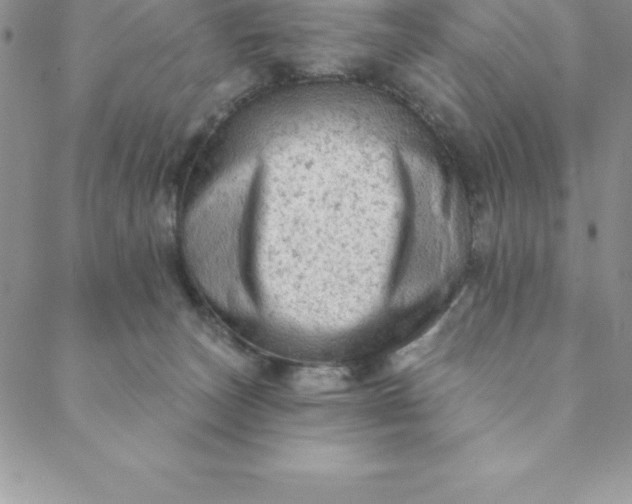 X0000088650179200706081647