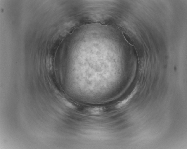 X0000088650182200706081647