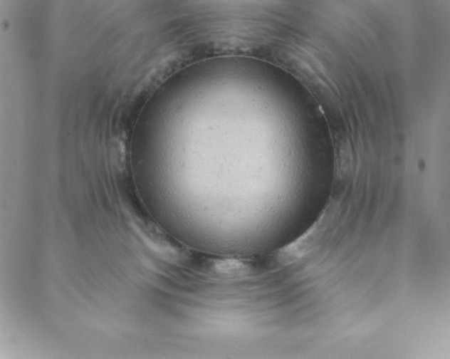 X0000088650183200706081647