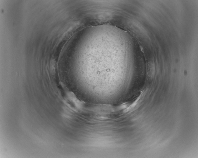 X0000088650184200706081647