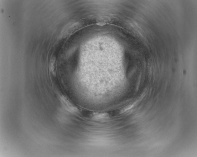 X0000088650185200706081647