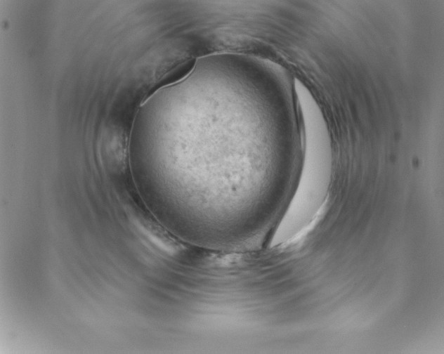 X0000088650186200706081647